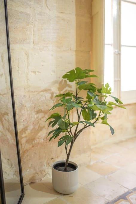 Chic, Stylish & Spacious Flat In Central Valletta Exterior foto